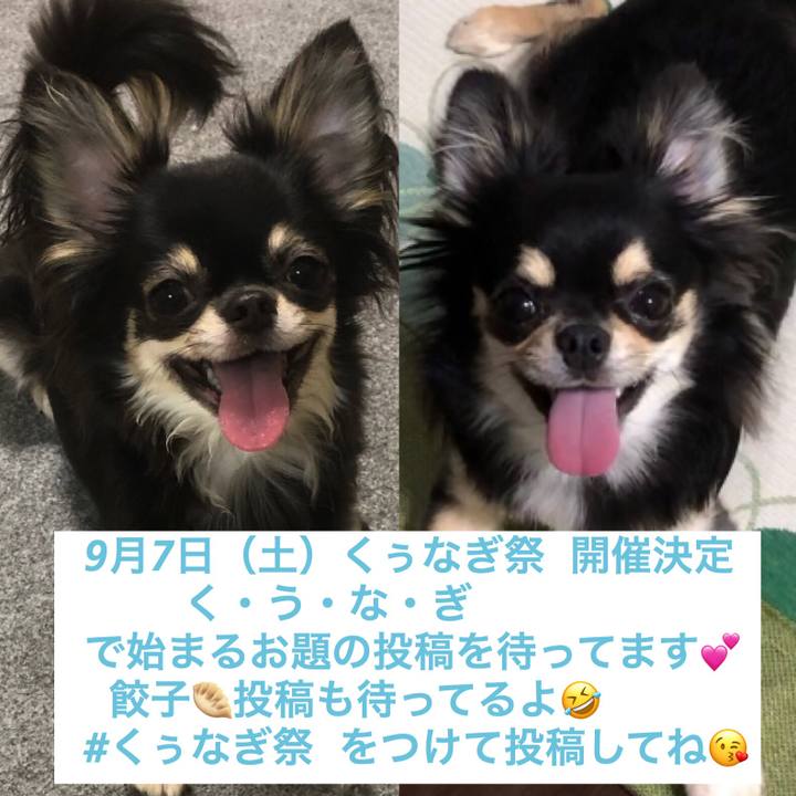 171be9ce 442e 497f a862 a6118943384b 1566176080468