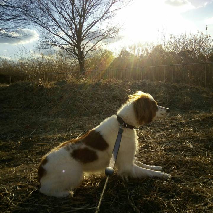 171c3d9f f1ba 499d 81a7 b3de4c5b4793 1518077817626