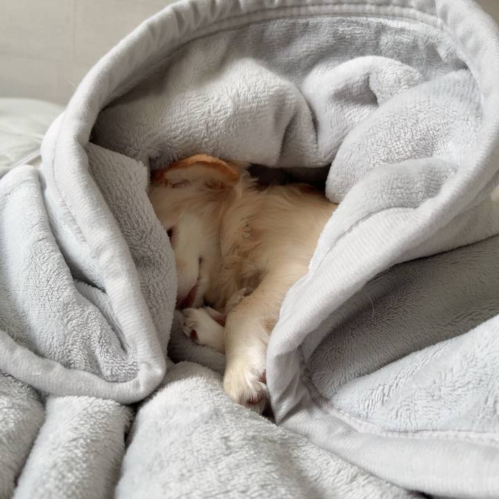 171c555a f133 4f7e 9a87 cdd3b3355f67 1730168113068