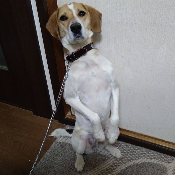 171c6836 f20a 4a3b 8a20 5224b0ca6c55 1618988907955