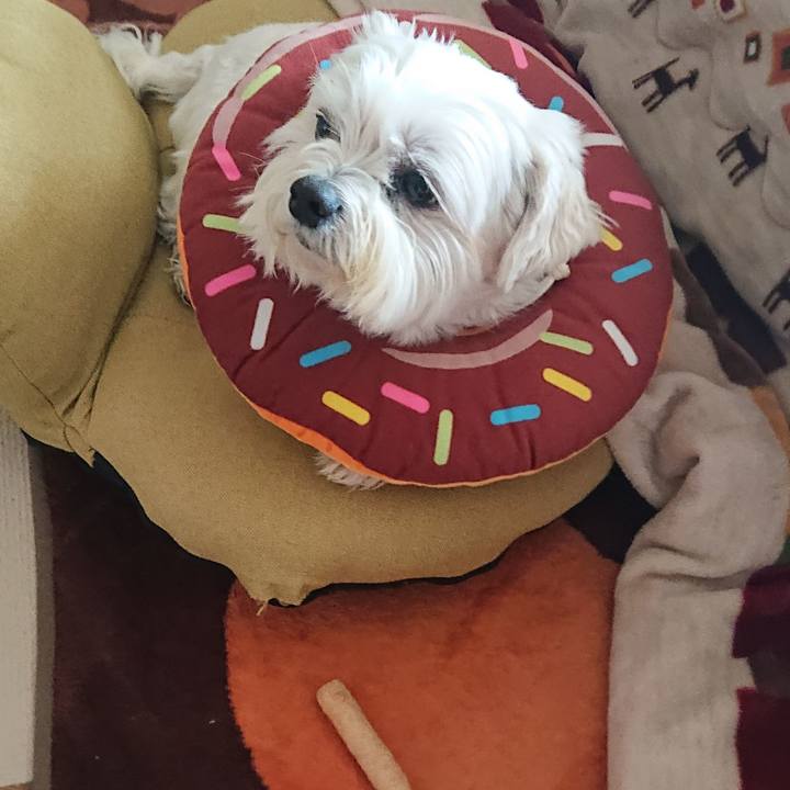 171c8492 3446 4516 9fb4 2509251cfcd3 1643339757177