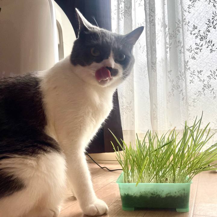 171ca56f 9a10 4e2b 972c 5fe6960a50be 1719701413213