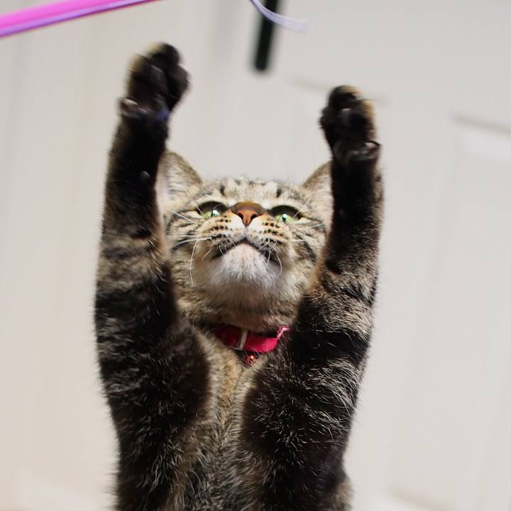 171cbcb8 165c 4d30 8661 7667af8f3057 1588171059223