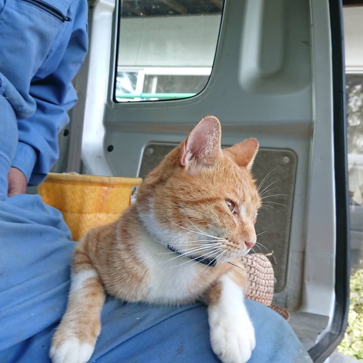 171cfbcd 5e25 4edd 8372 49031f65c742 1600669301002