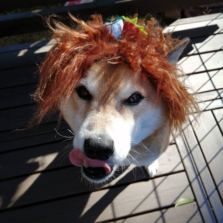 171d43e5 d395 4806 af87 4d94c815ccc6 1674961109364