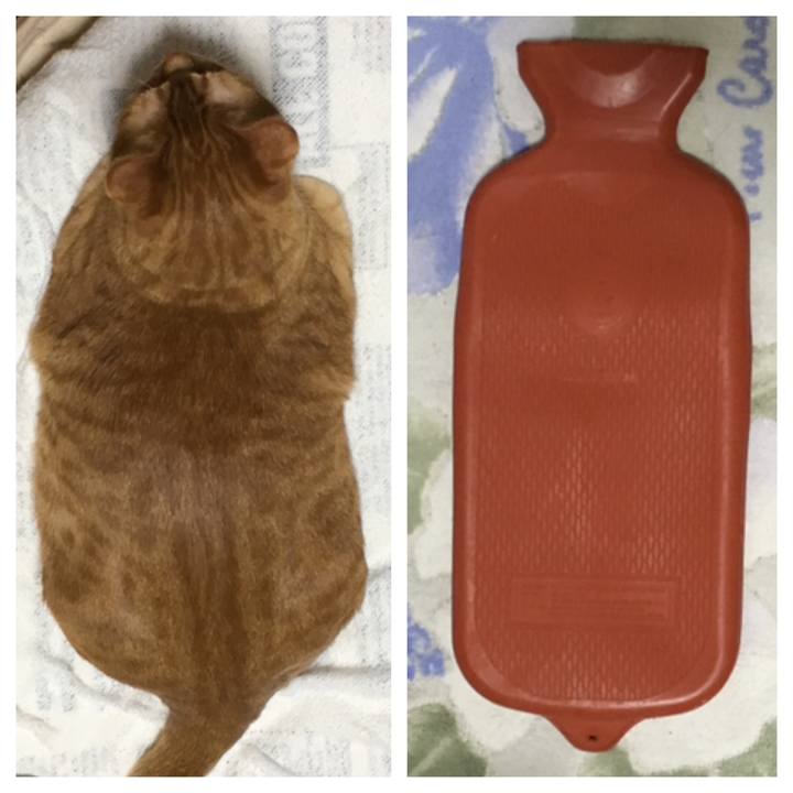 171d54af f3a6 4f9d 9d68 08567eb13b75 1547987341902