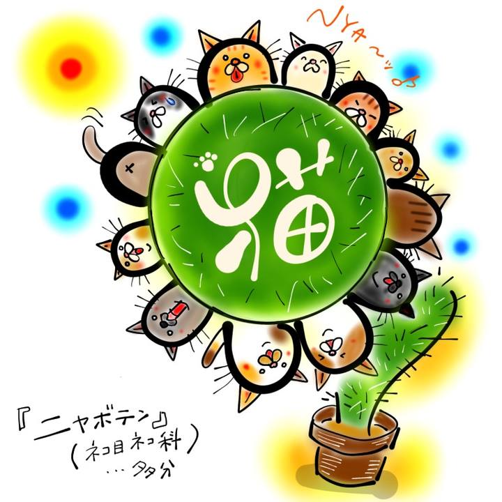 171d7caa d4ca 40dc 9964 d06a8140affc 1639401242847