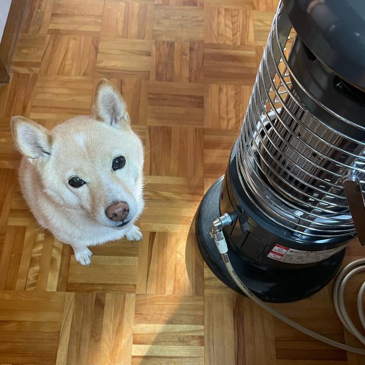 171d928e 839f 47a3 a7a2 f8eb1ad6791b 1668552397078