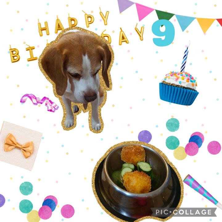 171d9c2a bcbe 48b4 9b17 48ed2117754f 1724585793459