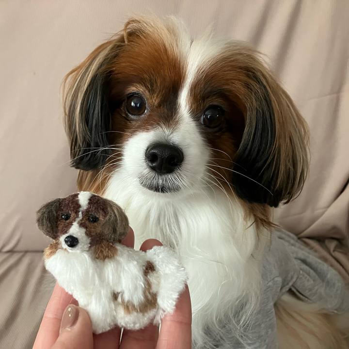 171d9e7b 0d42 42fd b23d aff98dbc1f2e 1734498866926