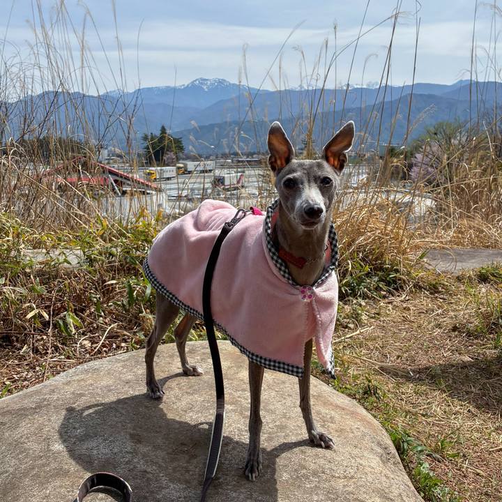 171dafe0 996f 4e9d aa26 543b7e635a16 1776512045482