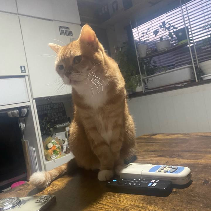 171e08c6 fb90 4d29 b19c e2624af02f71 1763672676491