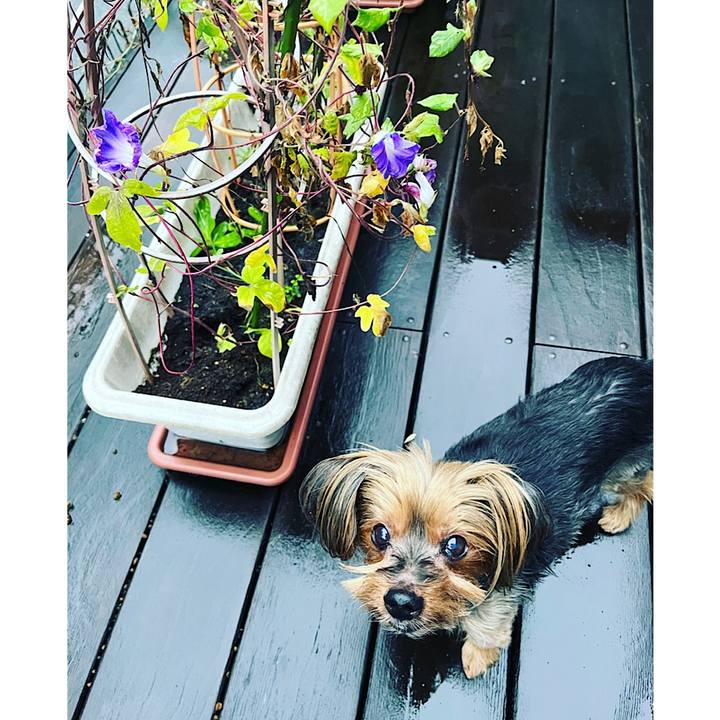 171e1179 f18b 47df ab3f eddf5b82b8e4 1695421633477