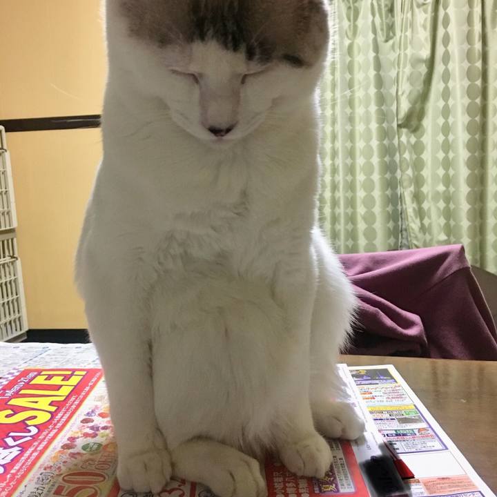 171e55aa b7b8 46a6 9275 0a910f0d1fb7 1546608221170