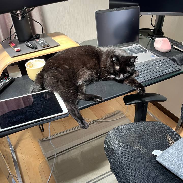 171e70cd 0d62 481b b9d7 c8ca055ad0f7 1720156831822