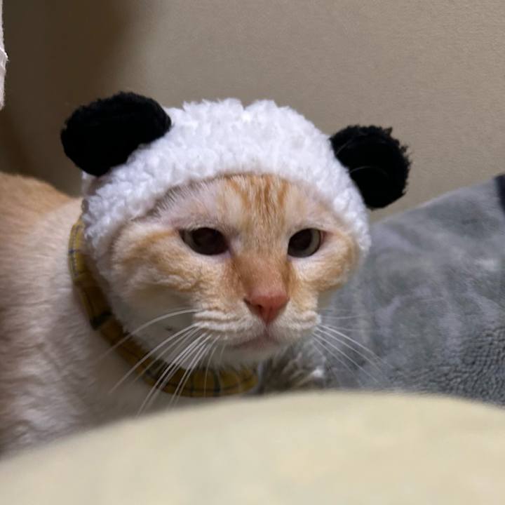 171e8255 0b26 4414 b350 b6d39b27dfa6 1751266106497