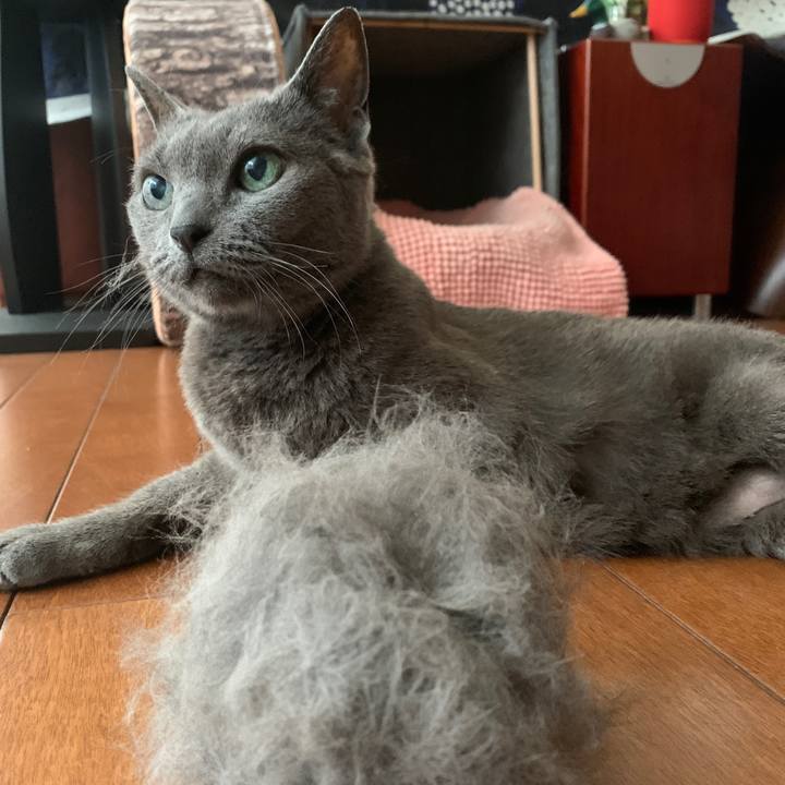 171e87ed 2785 4efc af21 64822065ef15 1595660120454