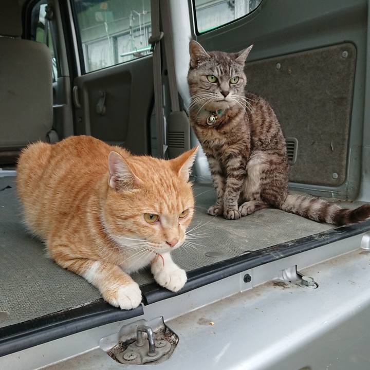 171e8c5a 71ad 4dad aeef d3e7073db369 1569708693472