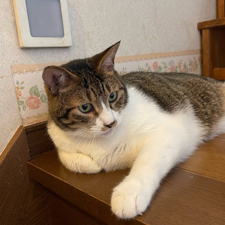 171ec726 8fd4 4e17 8e5c 83a10ae677c8 1753587698507