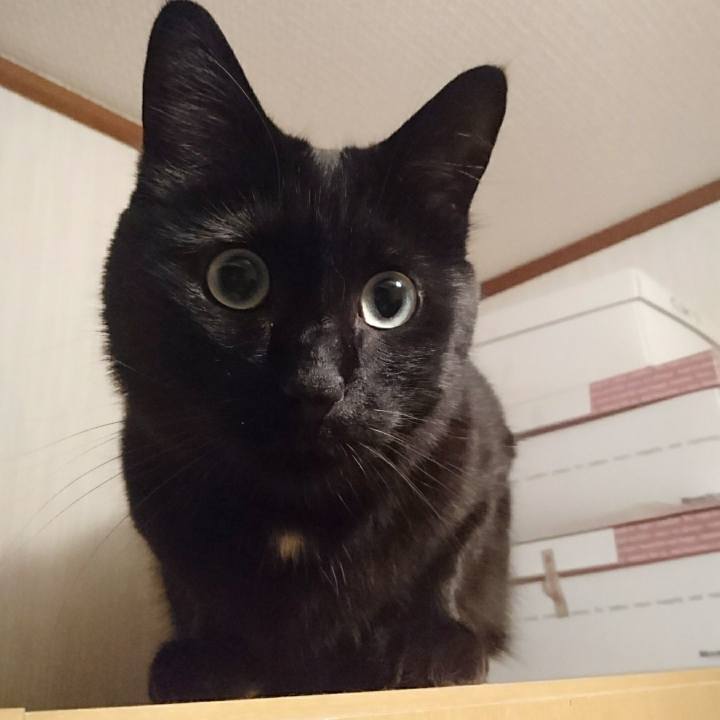 171edad7 4d38 4653 b444 9539e4371691 1623836323409