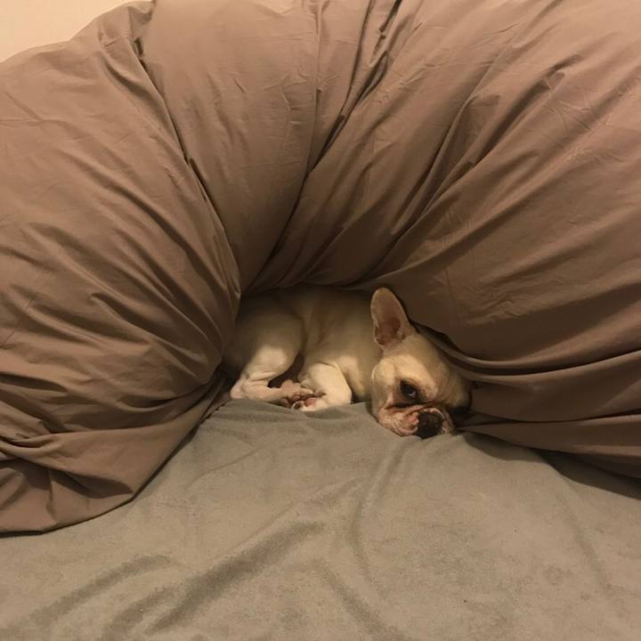 171ef037 fb48 4e15 8725 4b56abcadb03 1543889176157