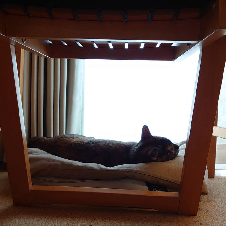 171f43c3 25d3 49a1 9c9a 4920ca7e9c5b 1755420251617