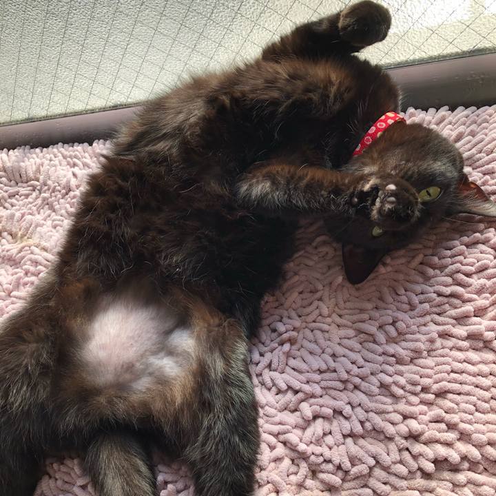 171f588a f675 404d 846c f766392137fc 1619736669845