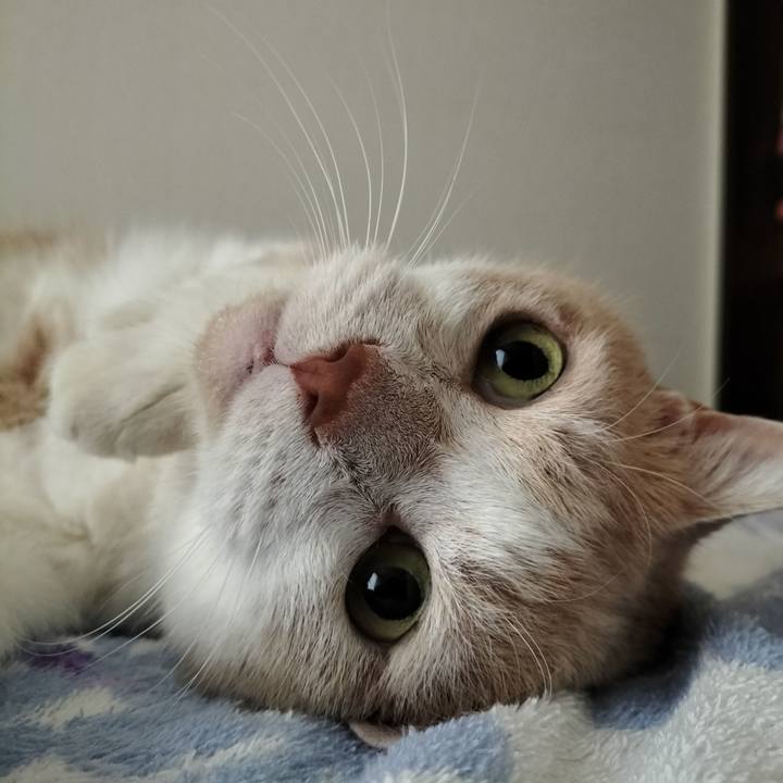 171f9dc5 1c86 4680 9e24 946b37a17a14 1634083493209