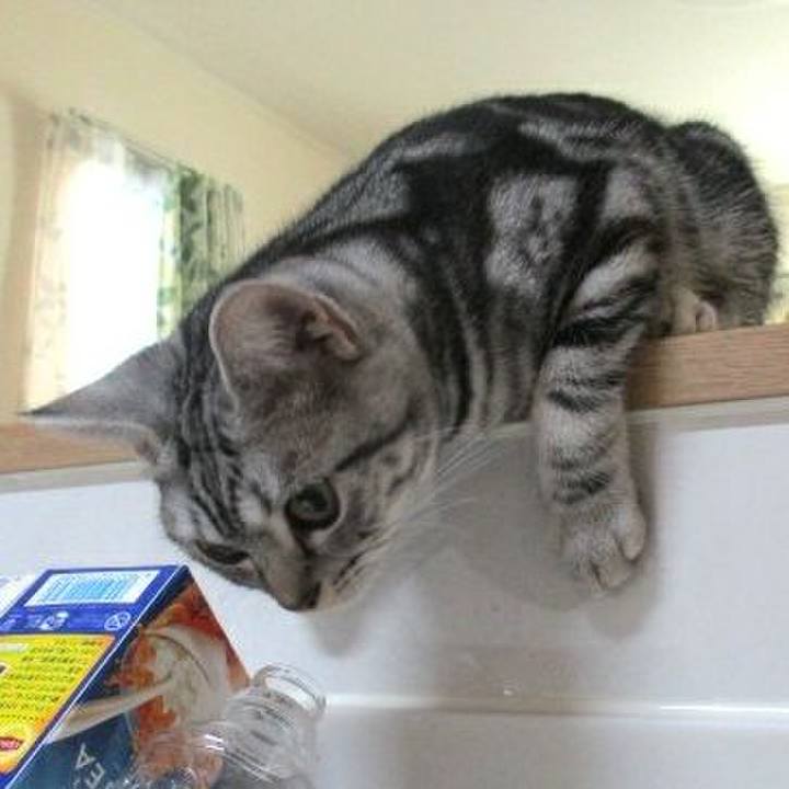 171f9eb5 3cbb 450e 9256 1367f75051e3 1538913046318