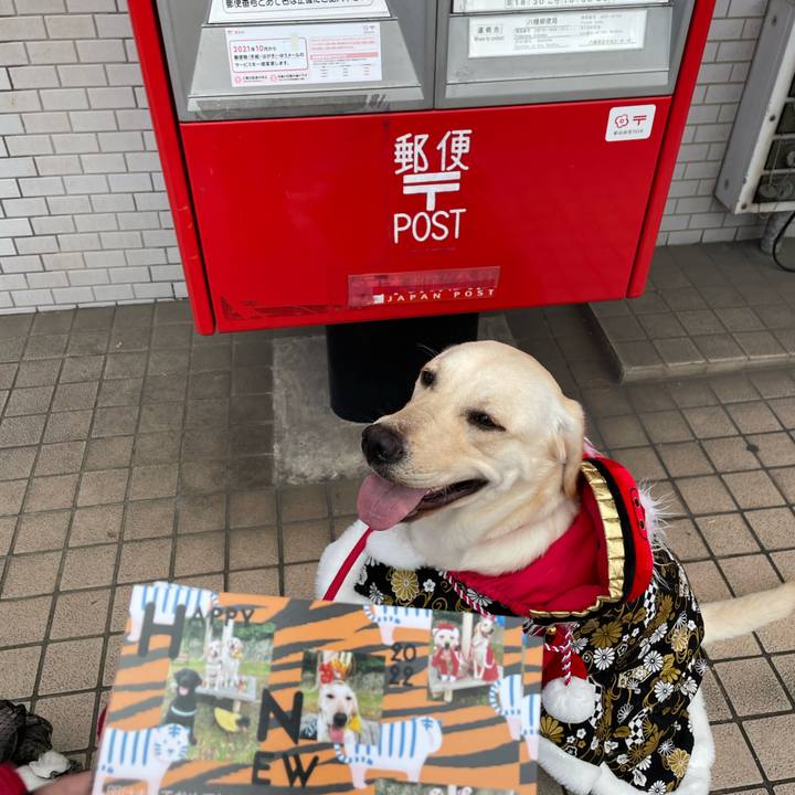 171fa839 e740 4e84 969c 519492f3584c 1640521112586