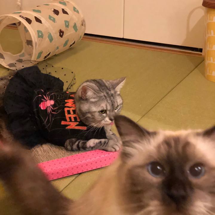 171fa8b4 bdf2 41e1 98b0 513c0d0722e7 1571488746308