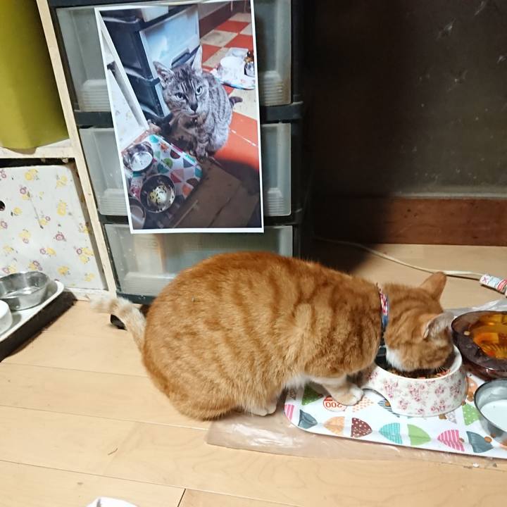 171ff87f 7a55 4d1b 82cc b9896ec6aef1 1601587754340