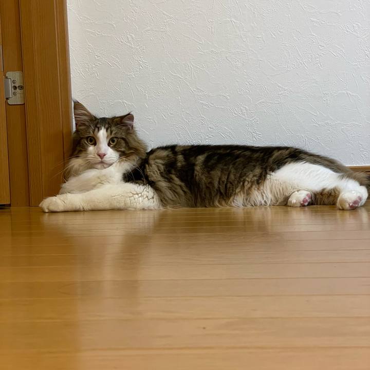 171ffa4e 7baf 4954 b665 18fccf1b5d8f 1646138816378