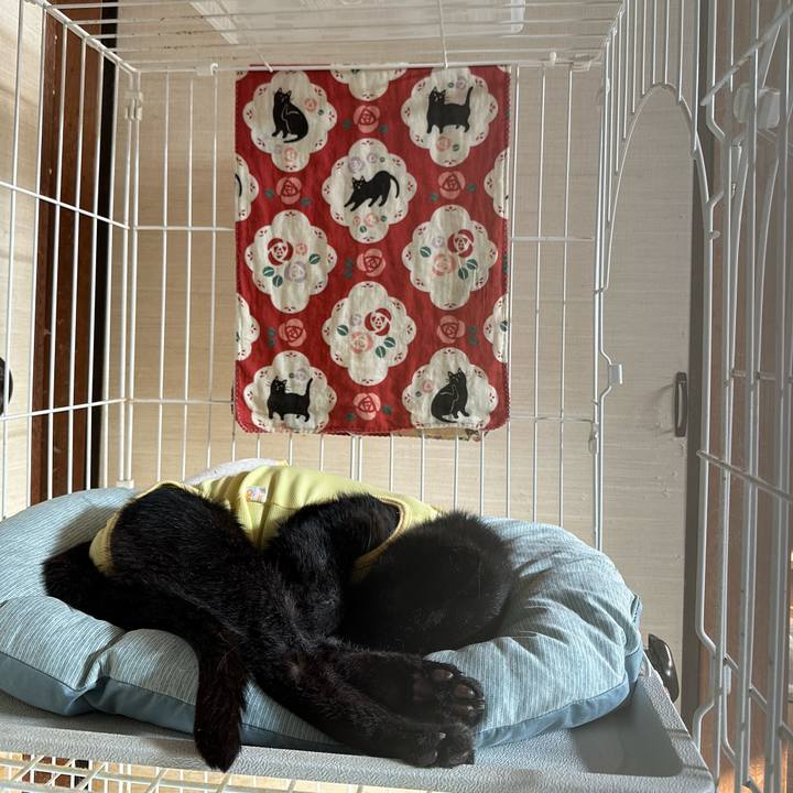 17204309 774b 488c a3b5 109483b9efd5 1718158888757