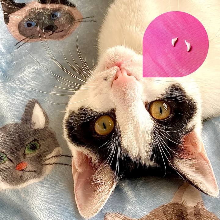 1720b7e4 6cc6 4e67 bf16 12a77b5d539b 1638505995638