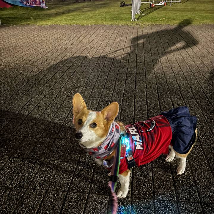 1720d573 ff23 4ef6 b5b0 b883a199f39f 1758885472156