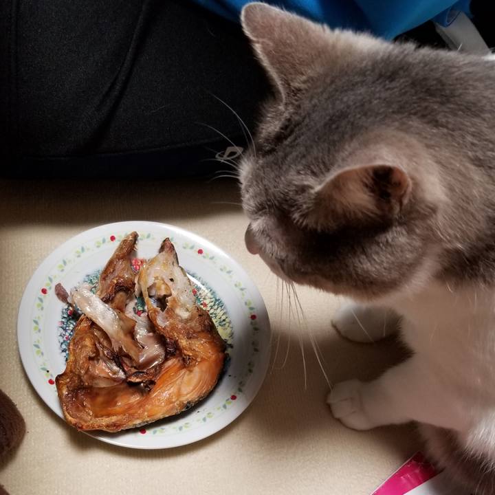 17212383 74b5 4801 b011 0afd9cc56e11 1670028365322