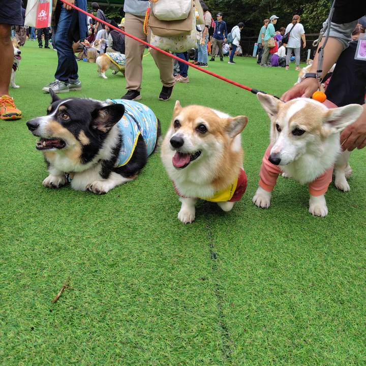 1721a05c 6274 4217 a573 1a7334db49fe 1759927974185