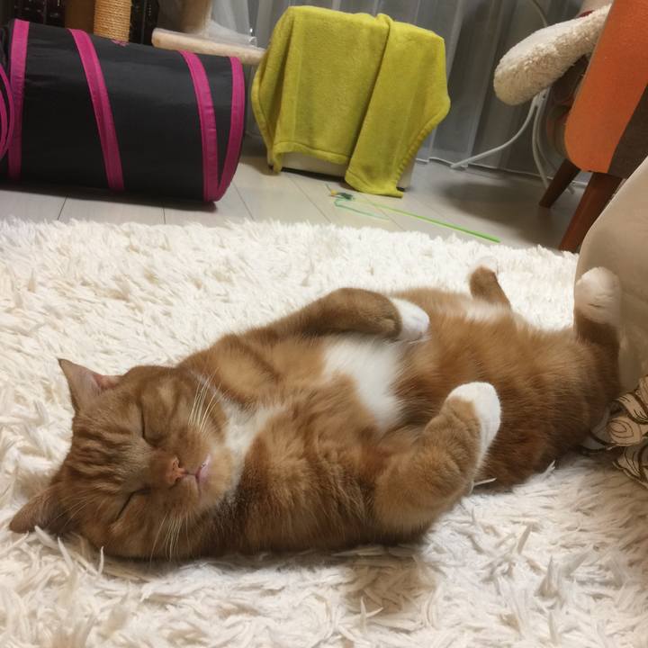 17223cd4 1e54 44f8 a392 5c21233f5a11 1601213151647