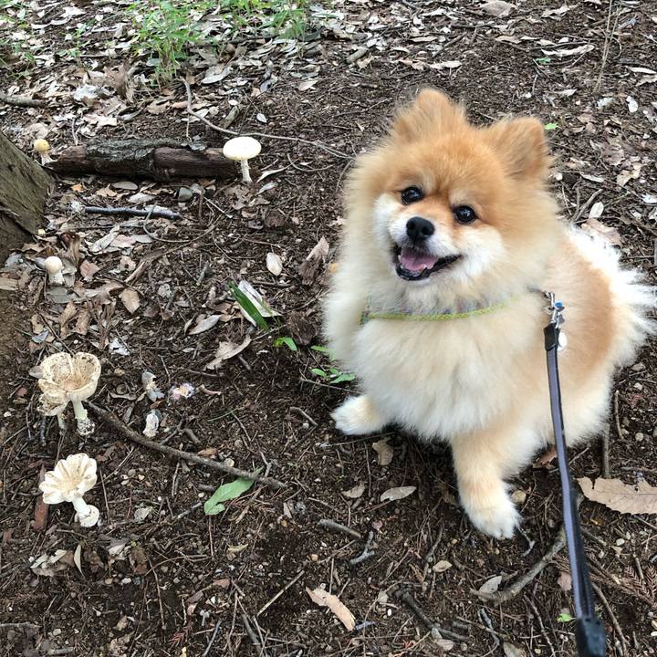 172281ad e8b0 4742 ab0d 5b222ee5ed38 1626223247232