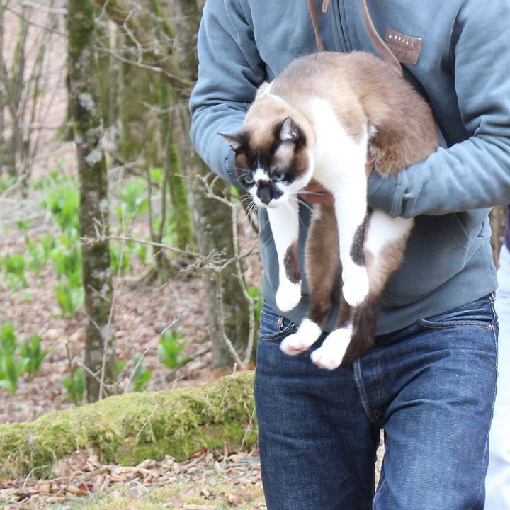 17233754 cbe9 46c5 9439 eb44eb07c03d 1593743534511