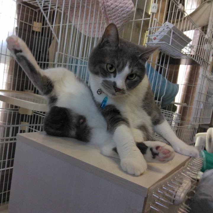 172337db c98a 4068 a457 a945091f9d2d 1712742688248