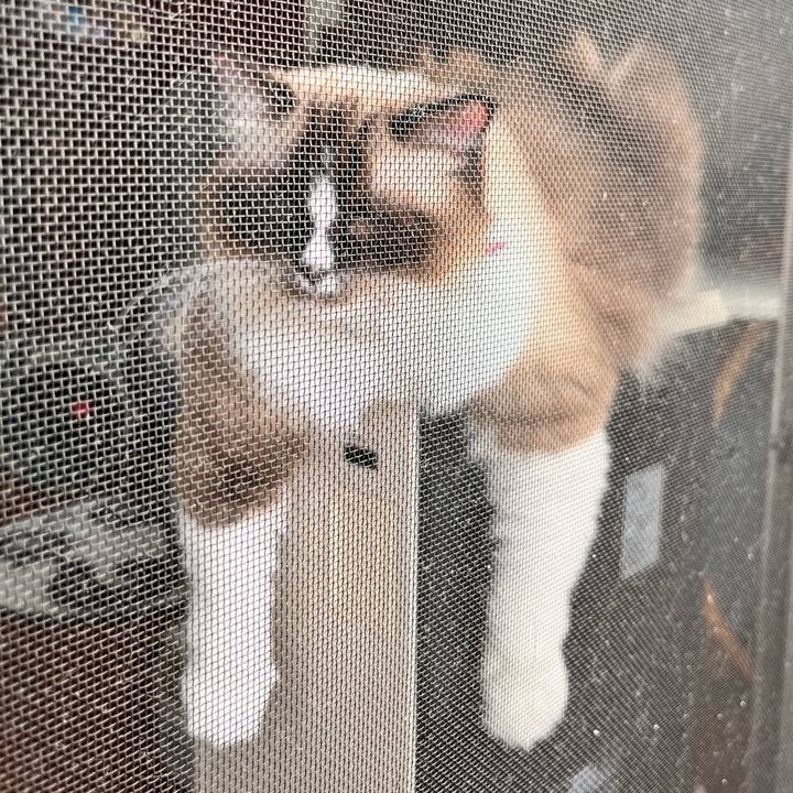 17233acd a564 42bd a1a0 3f1c89df5c45 1663374856684