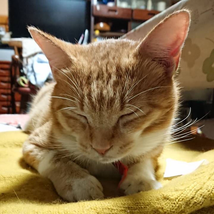 172367cb 9a74 47c3 bd89 1fc91b42fce7 1570265749019