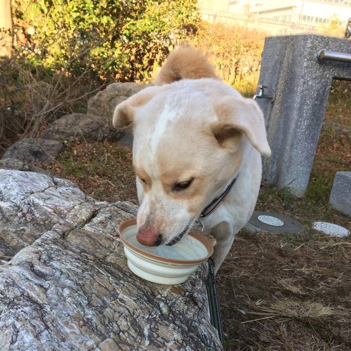 1723757d ce1d 4683 8885 152152a88123 1517282850298