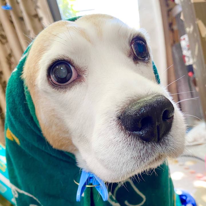 17237c98 3c43 45b8 acbd 440081056132 1640491361476