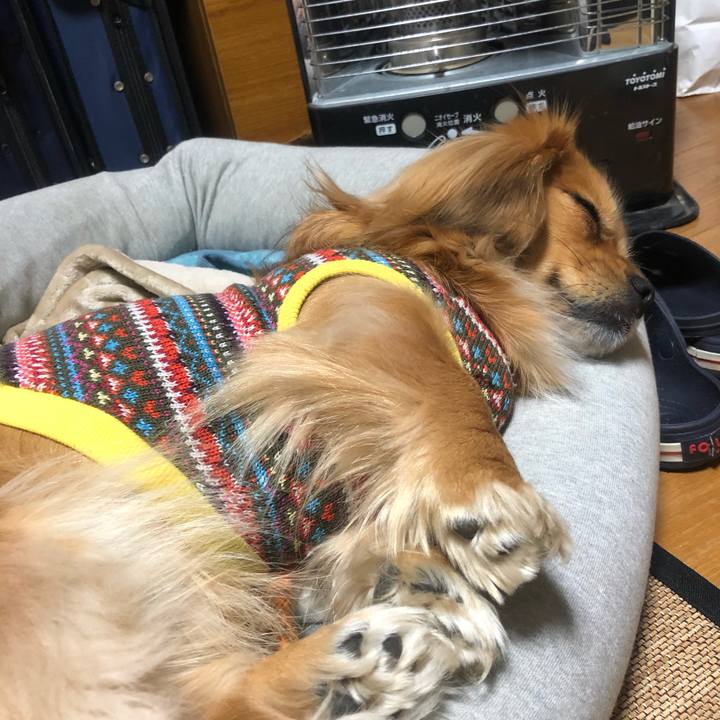 17241eed 8a32 47f3 9fb2 1b1c94f0b85b 1546485769317