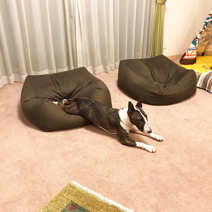 17244383 8491 433f a967 2aabd201ae04 1528291275182