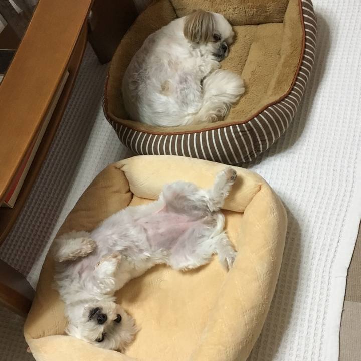 17246efe 71fc 4d00 a4bc 7a670bab68c2 1538654519542