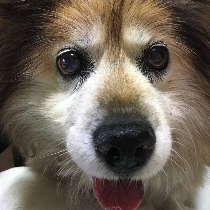 1724a489 76c1 47e0 ab47 aa7213eb3bc2 1614929807182